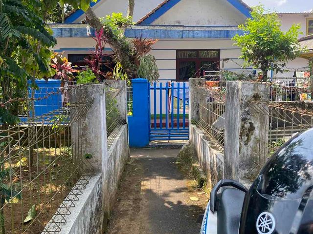 place photo 11