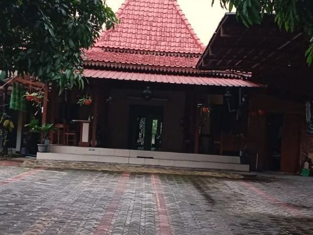 place photo 4