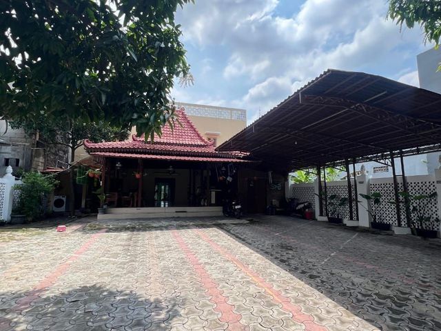 place photo 19