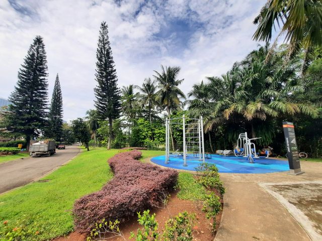 place photo 15