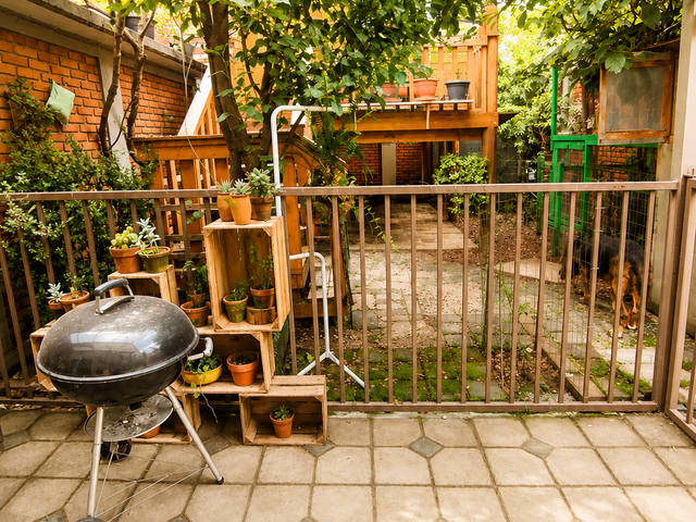 place photo 17