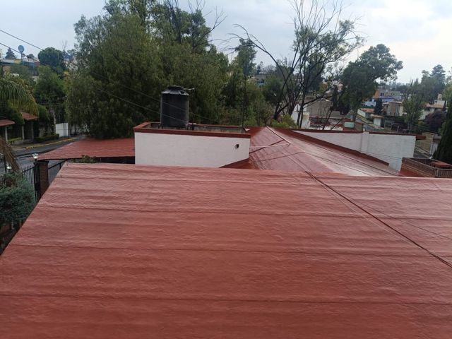 place photo 50