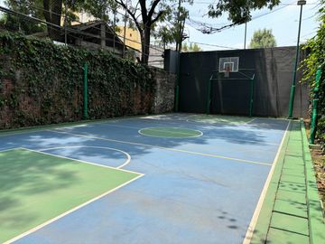 place photo 30