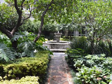 place photo 31