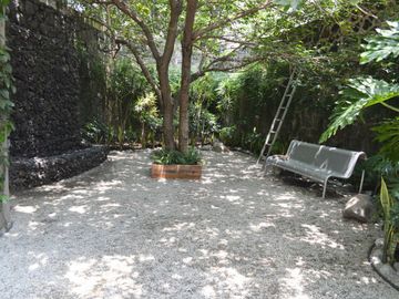 place photo 33