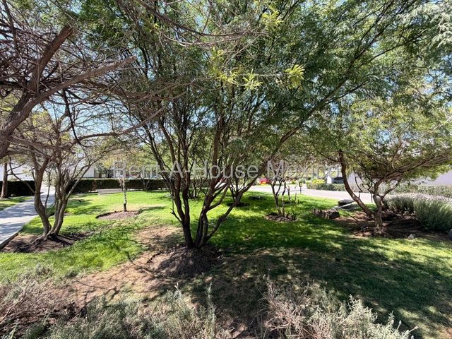 place photo 31