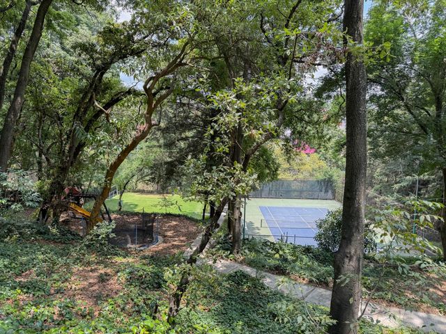 place photo 32