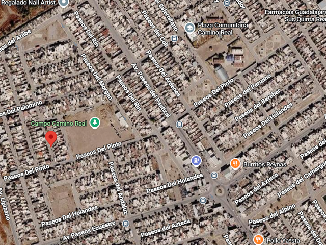 place photo 6
