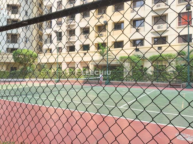 place photo 16