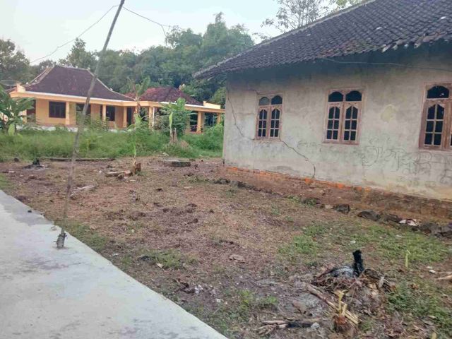 place photo 8