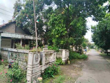 place photo 6