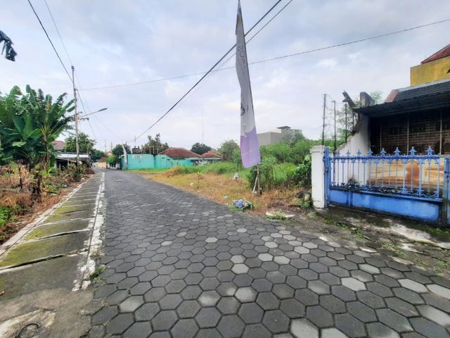 place photo 3