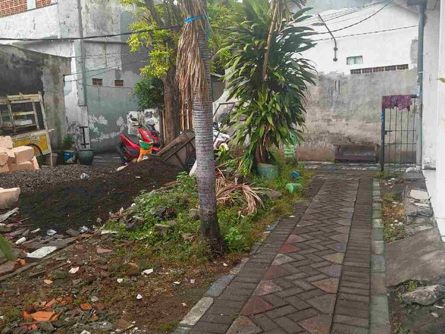 place photo 4