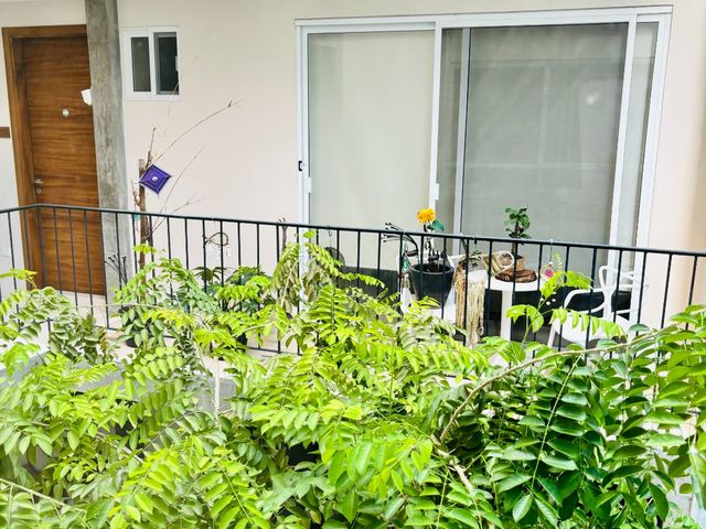 place photo 49