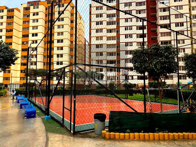 place photo 18