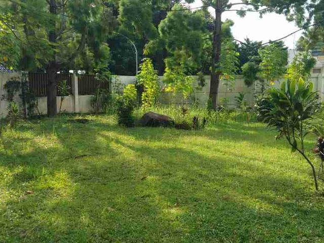 place photo 10