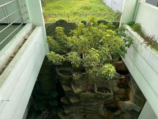 place photo 13
