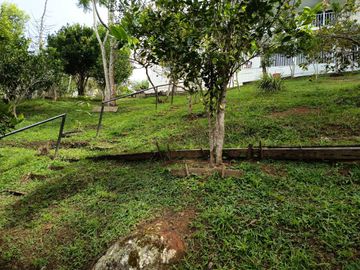 place photo 27