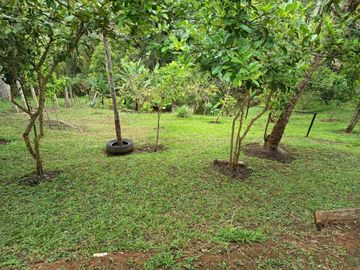 place photo 35