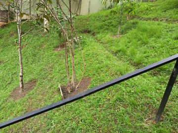 place photo 36