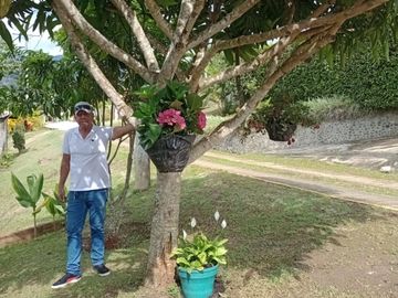 place photo 44