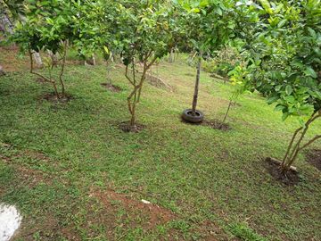 place photo 37