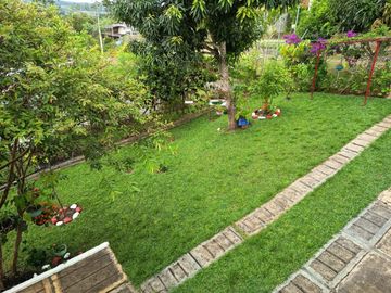 place photo 24