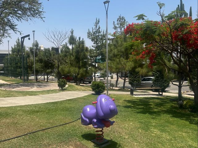 place photo 41