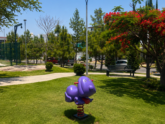 place photo 40