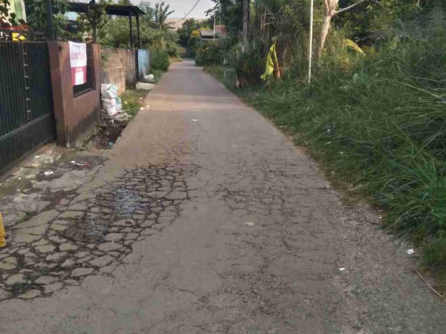 place photo 11