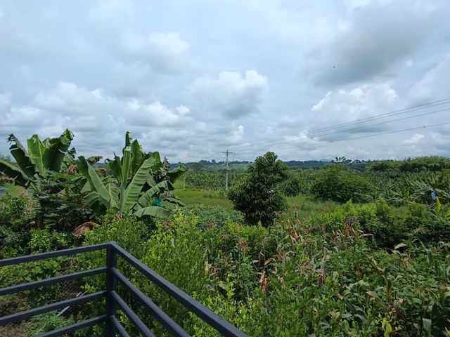 place photo 41