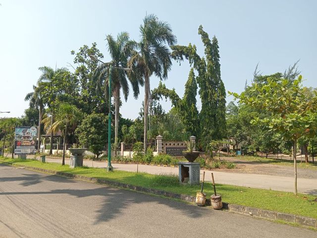 place photo 12
