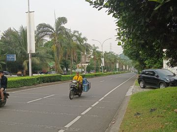 place photo 21