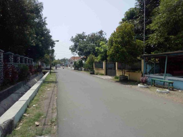 place photo 4