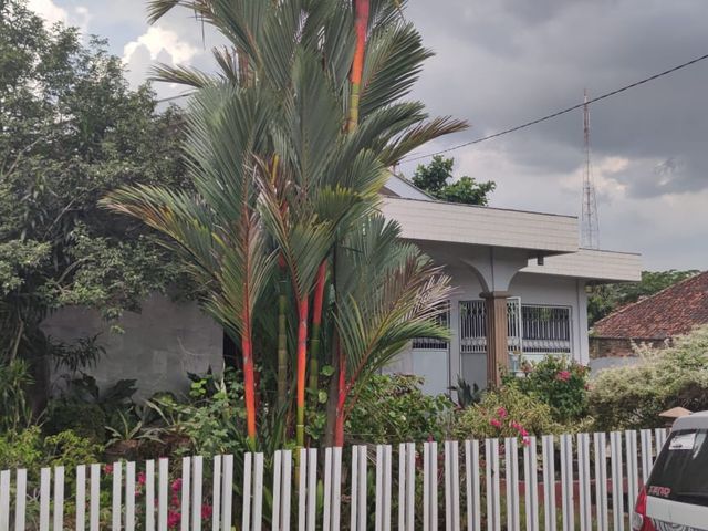 place photo 5
