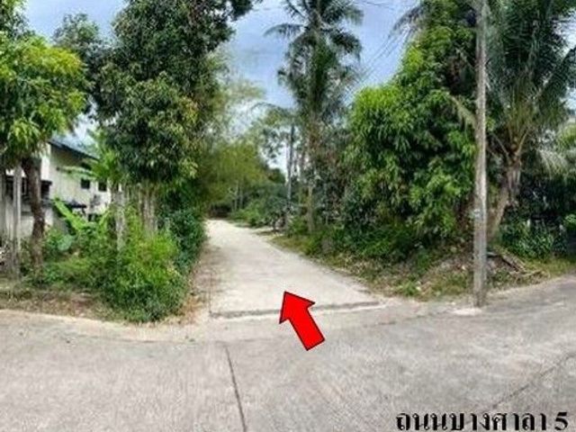 place photo 7