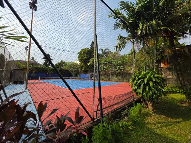 place photo 14