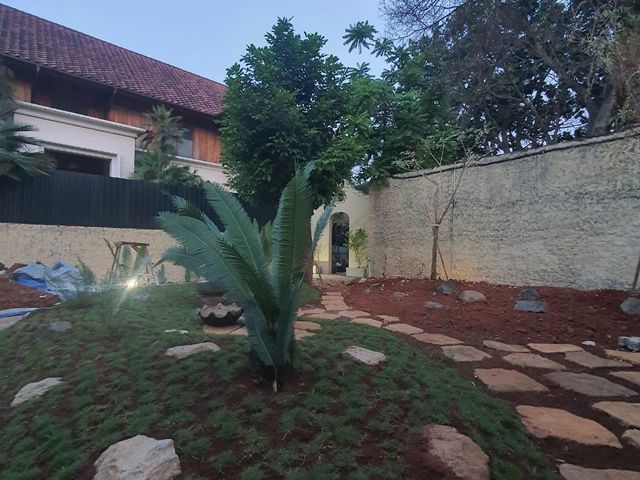 place photo 11