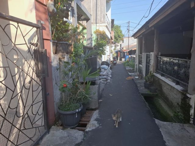 place photo 12
