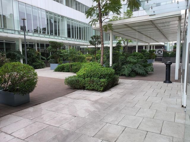 place photo 28