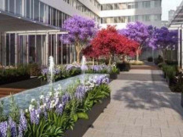 place photo 22