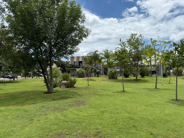 place photo 31
