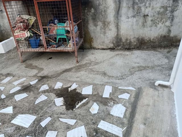 place photo 38