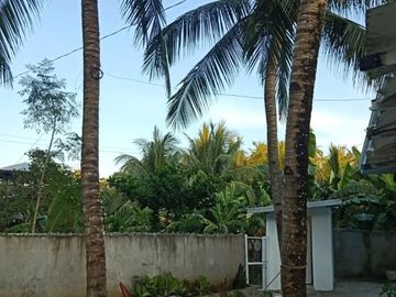 place photo 41