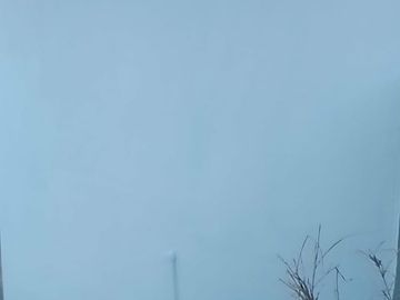 place photo 52
