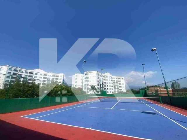 place photo 28