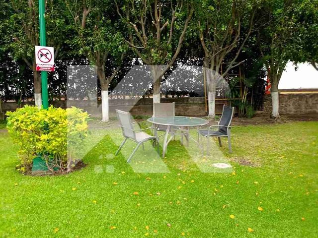 place photo 38