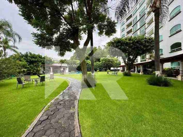 place photo 47