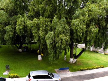 place photo 28