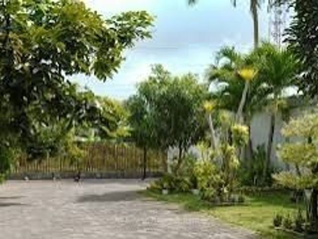 place photo 12